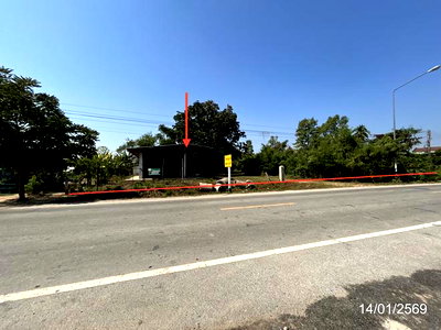 บ้านเดี่ยว พิษณุโลก : บ้านเดี่ยว 2295.2 ตร.วา พรหมพิราม พิษณุโลก 2.9M