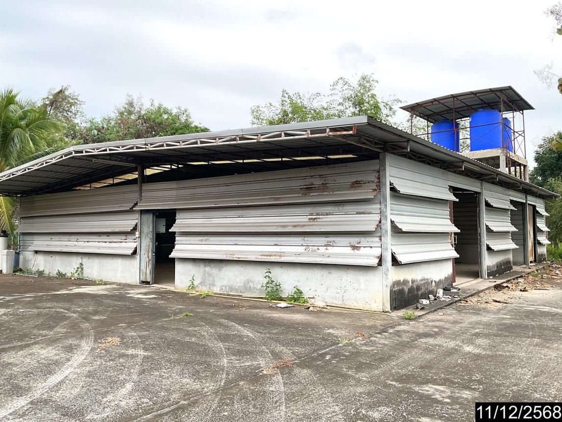 รูป ฟาร์ม 23802 ตร.วา หนองวัวซอ อุดรธานี 36.6M - รูปที่ 34/50
