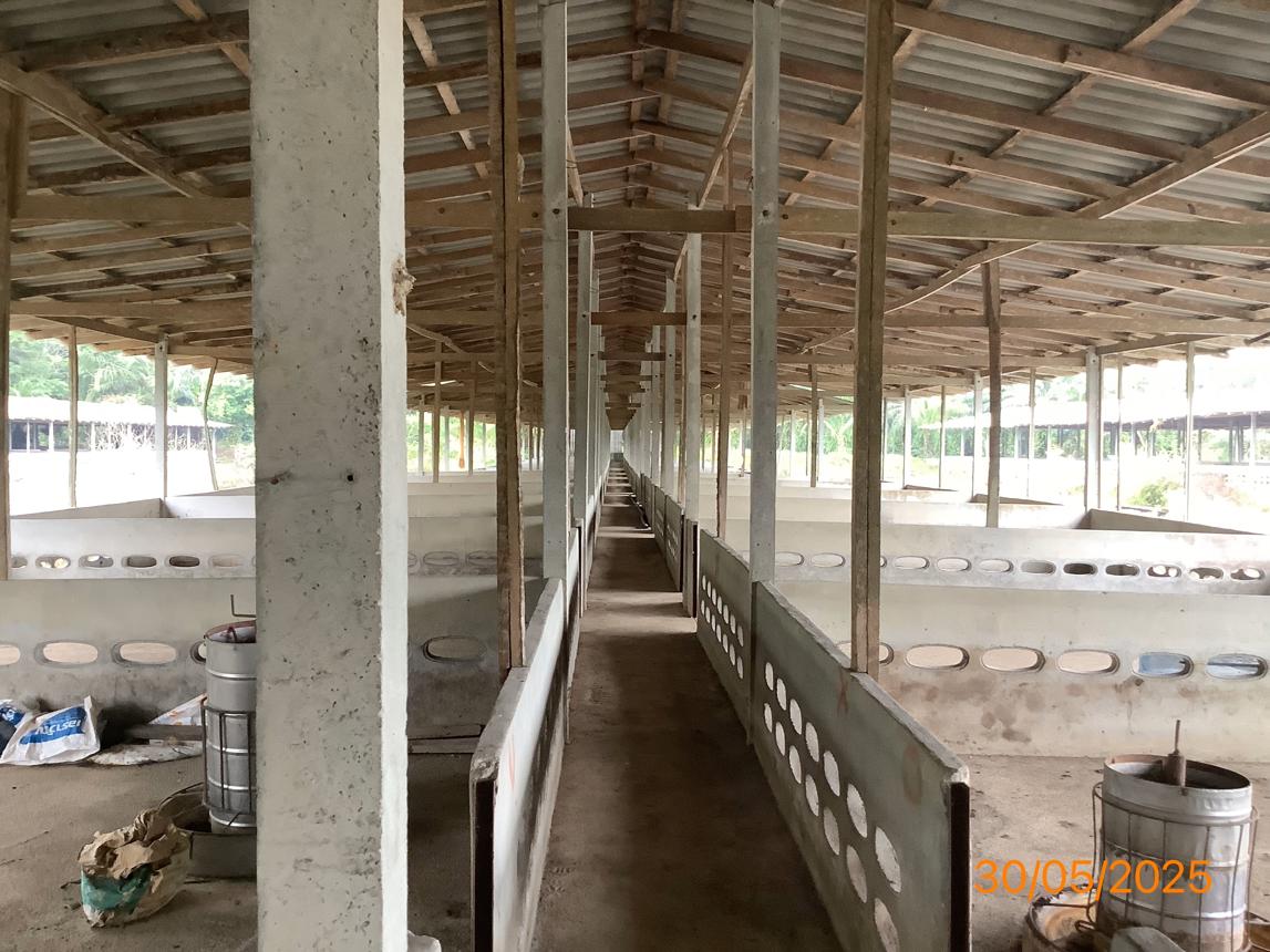 picture LAND 3649 Sq.w. Chalermphrakiet Nakhon Sri Thammarat for 9.9M - 24/38