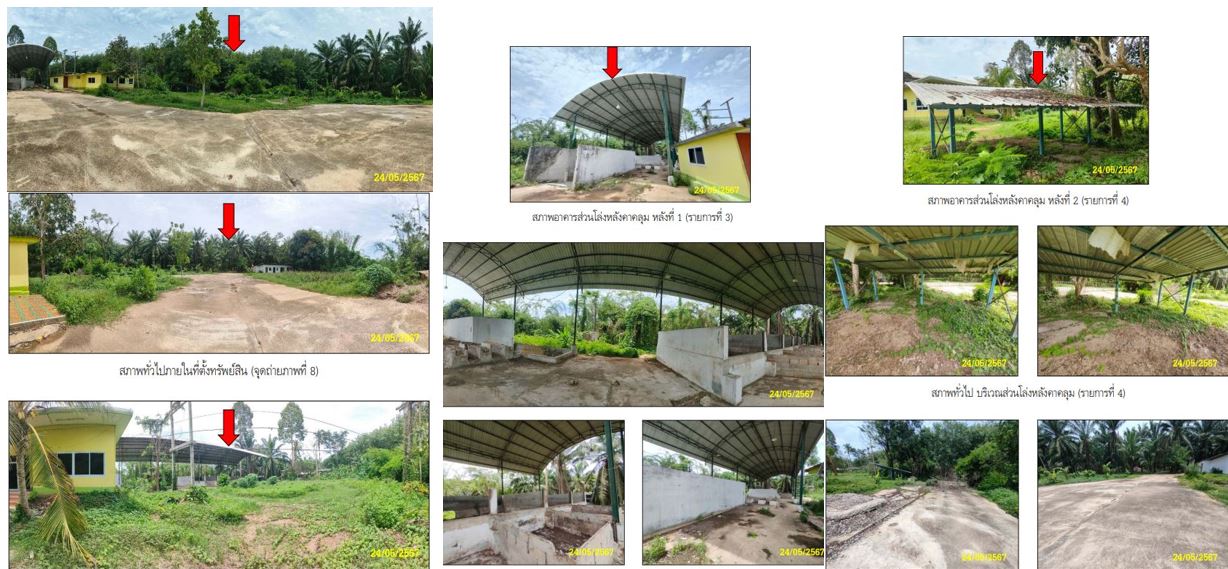 รูป ที่ดินพร้อมสิ่งปลูกสร้าง 1572 ตร.วา อำเภอบ้านตาขุน สุราษฎร์ธานี 2.7M - รูปที่ 4/9