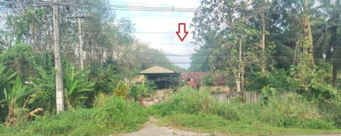 ที่ดินพร้อมสิ่งปลูกสร้าง 1446.8 ตร.วา อำเภออ่าวลึก กระบี่ 6.2M