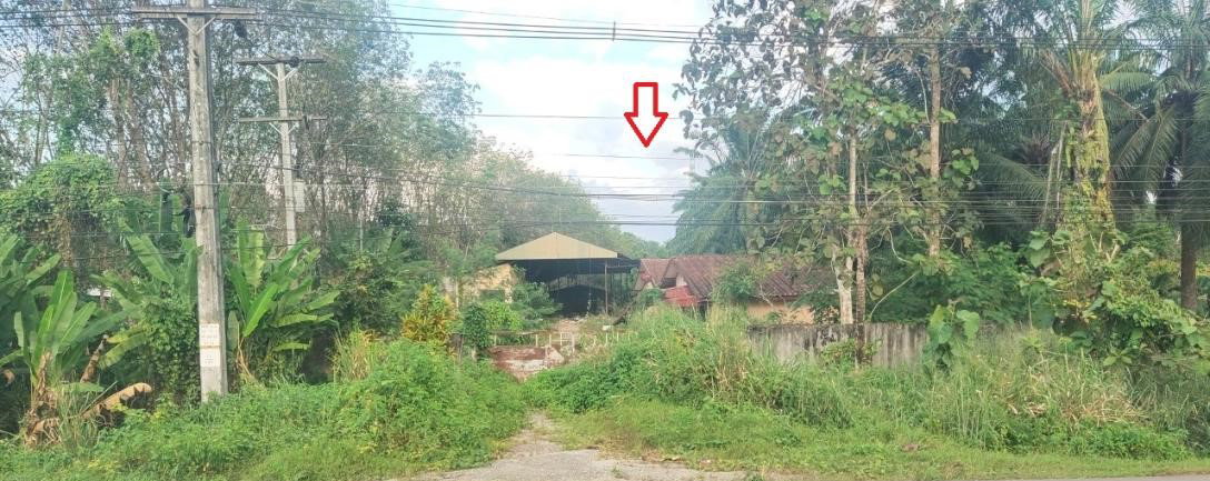 picture LAND 1446.8 Sq.w. Muang Krabi Krabi for 6.2M - 1/6