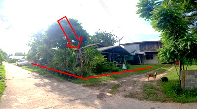 ที่ดิน อำนาจเจริญ : ที่ดินพร้อมสิ่งปลูกสร้าง 51 ตร.วา อำเภอเมืองอำนาจเจริญ อำนาจเจริญ 241,000