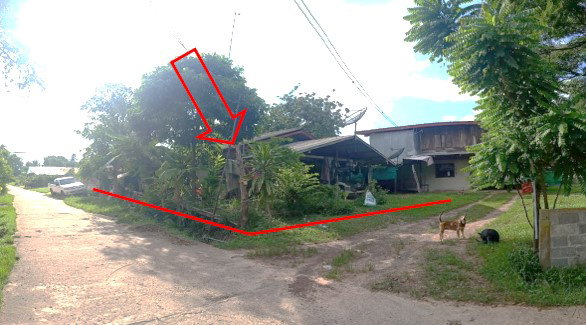 รูป ที่ดินพร้อมสิ่งปลูกสร้าง 51 ตร.วา อำเภอเมืองอำนาจเจริญ อำนาจเจริญ 241,000 - รูปที่ 1/2