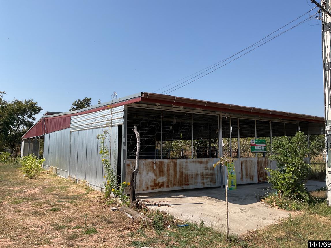 รูป บ้านเดี่ยว 180 ตร.วา บัวลาย นครราชสีมา 2M - รูปที่ 11/16