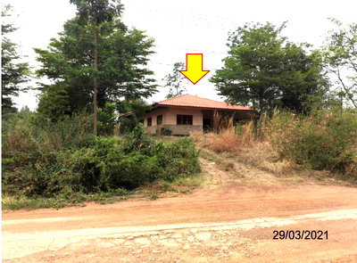 ที่ดิน เพชรบูรณ์ : ที่ดินพร้อมสิ่งปลูกสร้าง 4084.7 ตร.วา อำเภอหล่มสัก เพชรบูรณ์ 5.8M