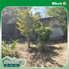 listing thumbnail image 41