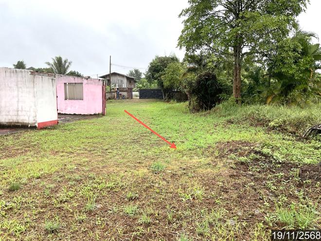 picture HOME 1062 Sq.w. Phan Chiang Rai for 2.9M - 6/24