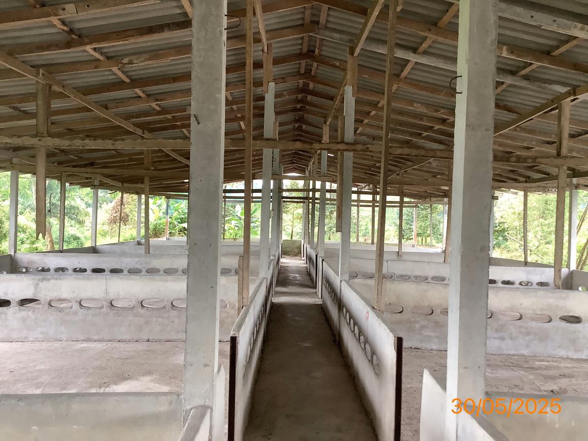picture LAND 3649 Sq.w. Chalermphrakiet Nakhon Sri Thammarat for 9.9M - 31/38