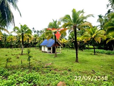 บ้านเดี่ยว 1144.6 ตร.วา กันตัง ตรัง 4.4M