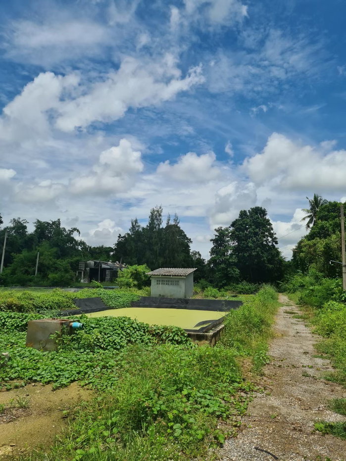 picture LAND 6162.2 Sq.w. Ban Pong Ratchburi for 32.3M - 6/8