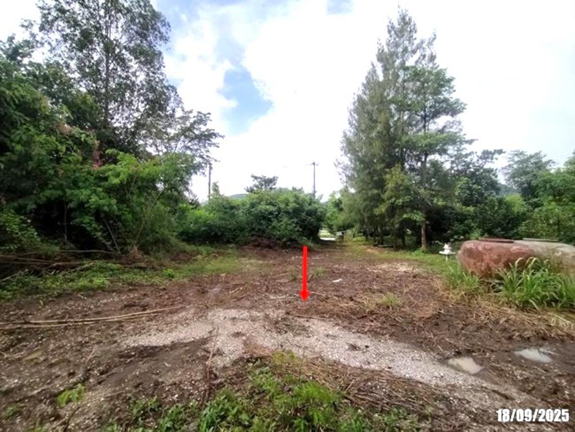 รูป บ้านเดี่ยว 336 ตร.วา วังสะพุง เลย 1.3M - รูปที่ 13/18