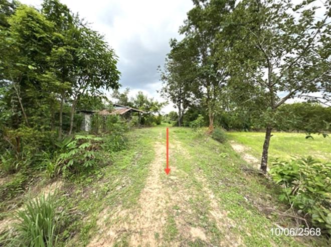 picture FACTORY 4233 Sq.w. Muang Samsip Ubon Ratchathani for 1.7M - 3/24