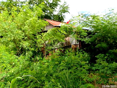 FACTORY 3000 Sq.w. Sung Noen Nakhon Ratchasima for 4.6M