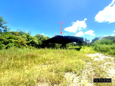 โรงงาน เขื่องใน อุบลราชธานี : เพิงอเนกประสงค์ 2400 ตร.วา เขื่องใน อุบลราชธานี 2.4M