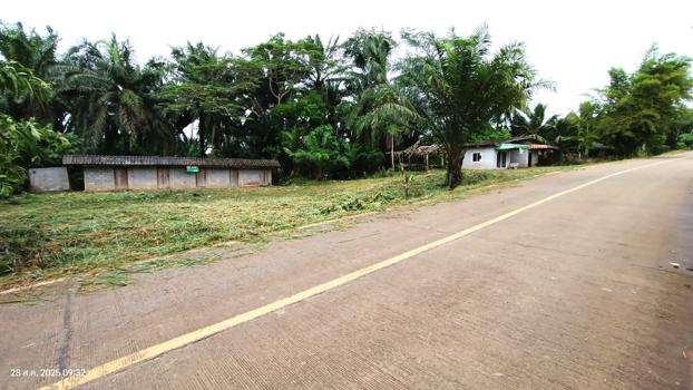 รูป บ้านเดี่ยว 344 ตร.วา ชัยบุรี สุราษฎร์ธานี 597,000 - รูปที่ 33/36