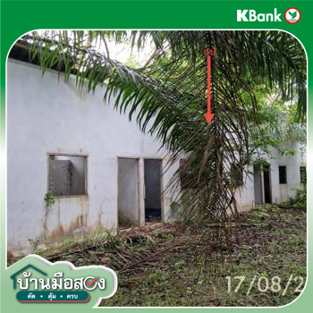 รูป บ้านเดี่ยว 1074 ตร.วา ฉวาง นครศรีธรรมราช 14.8M - รูปที่ 22/24