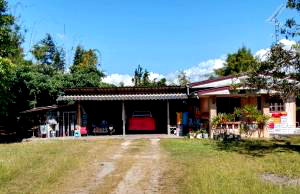 LAND 557 Sq.w. Phrao Chiang Mai for 1.1M