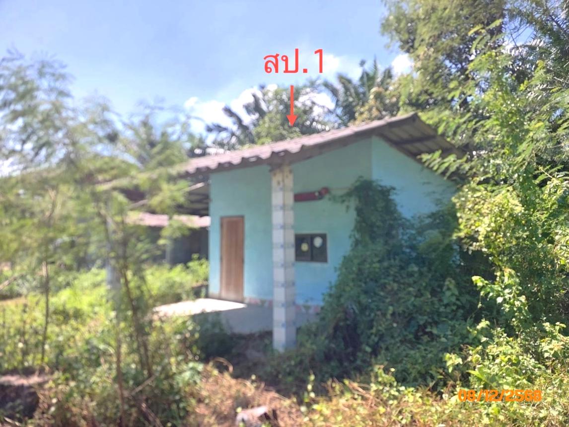 picture HOME 1000 Sq.w. Prasaeng Surat Thani for 1.8M - 17/32