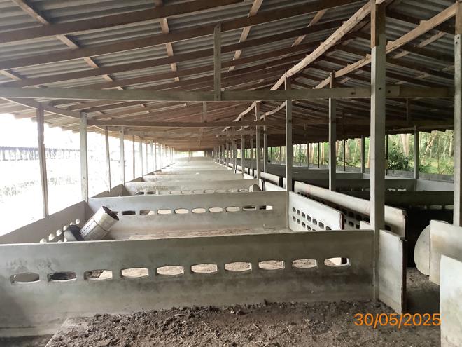 picture LAND 3649 Sq.w. Chalermphrakiet Nakhon Sri Thammarat for 9.9M - 2/38