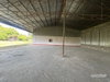 listing thumbnail image 46