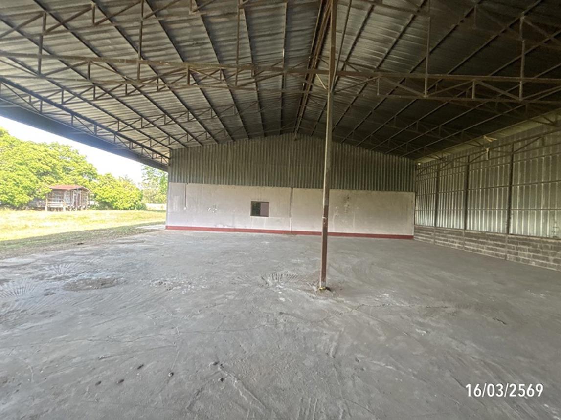 รูป บ้านเดี่ยว 3145 ตร.วา บ้านใหม่ไชยพจน์ บุรีรัมย์ 5.9M - รูปที่ 47/60