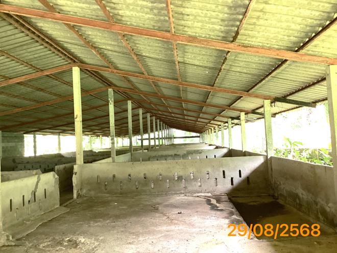 picture LAND 2165 Sq.w. Kapong Phangnga for 4M - 2/36