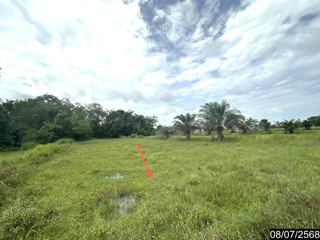 รูป บ้านเดี่ยว 10506.7 ตร.วา เดชอุดม อุบลราชธานี 2.3M - รูปที่ 8/26