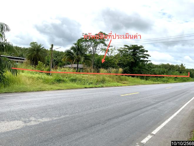 รูป บ้านเดี่ยว 3646 ตร.วา ทุ่งสง นครศรีธรรมราช 12M - รูปที่ 16/38