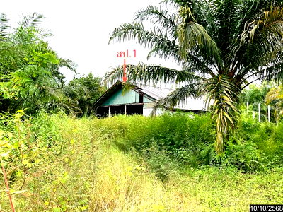 HOME 3646 Sq.w. Thung Song Nakhon Sri Thammarat for 9.5M