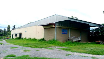 ที่ดิน อุบลราชธานี : ที่ดินพร้อมสิ่งปลูกสร้าง 1163 ตร.วา ฟ้าห่วน อำเภอศรีเมืองใหม่ อุบลราชธานี 3M