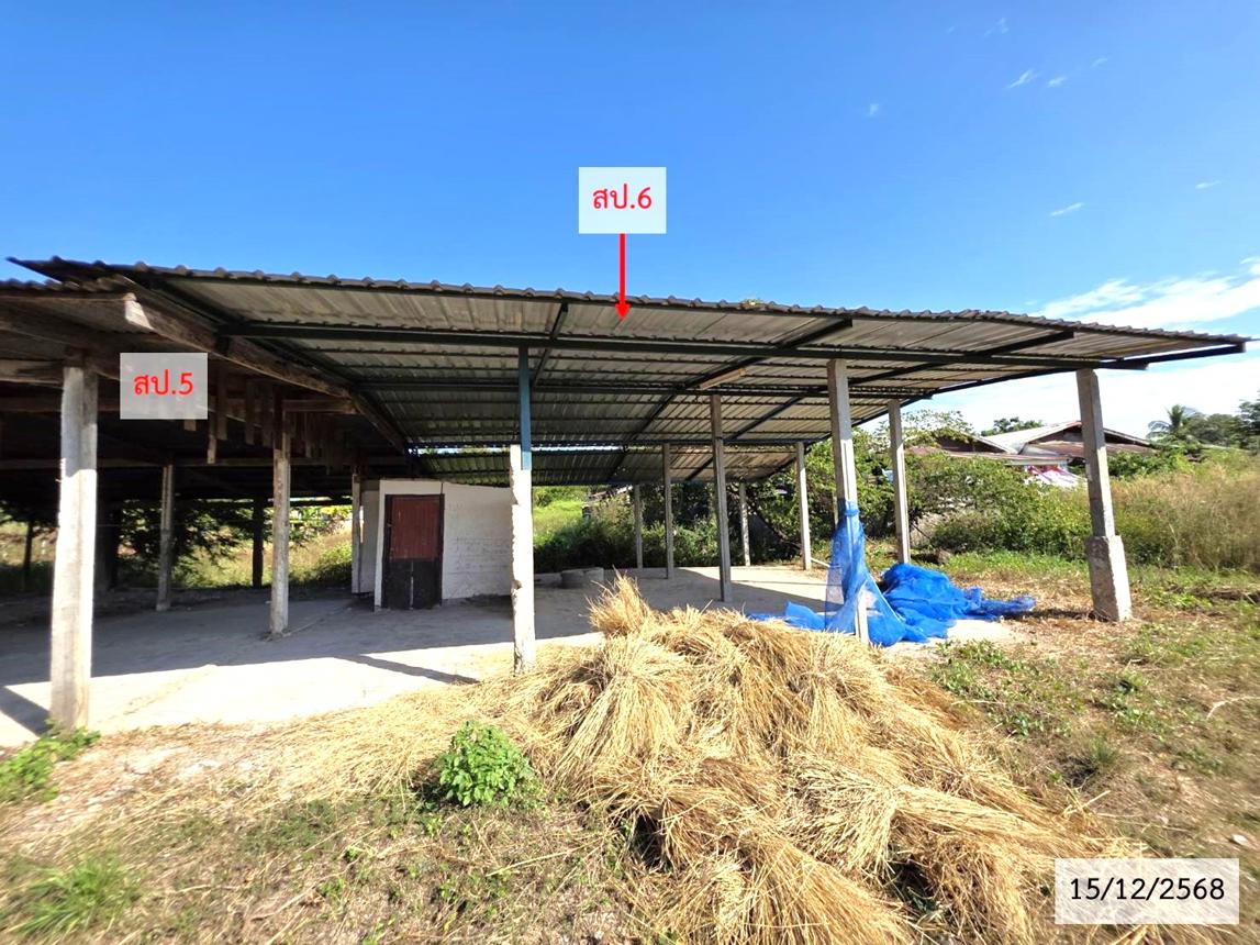 รูป บ้านเดี่ยว 500 ตร.วา บ้านม่วง สกลนคร 2.1M - รูปที่ 31/38