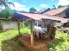 listing thumbnail image 19