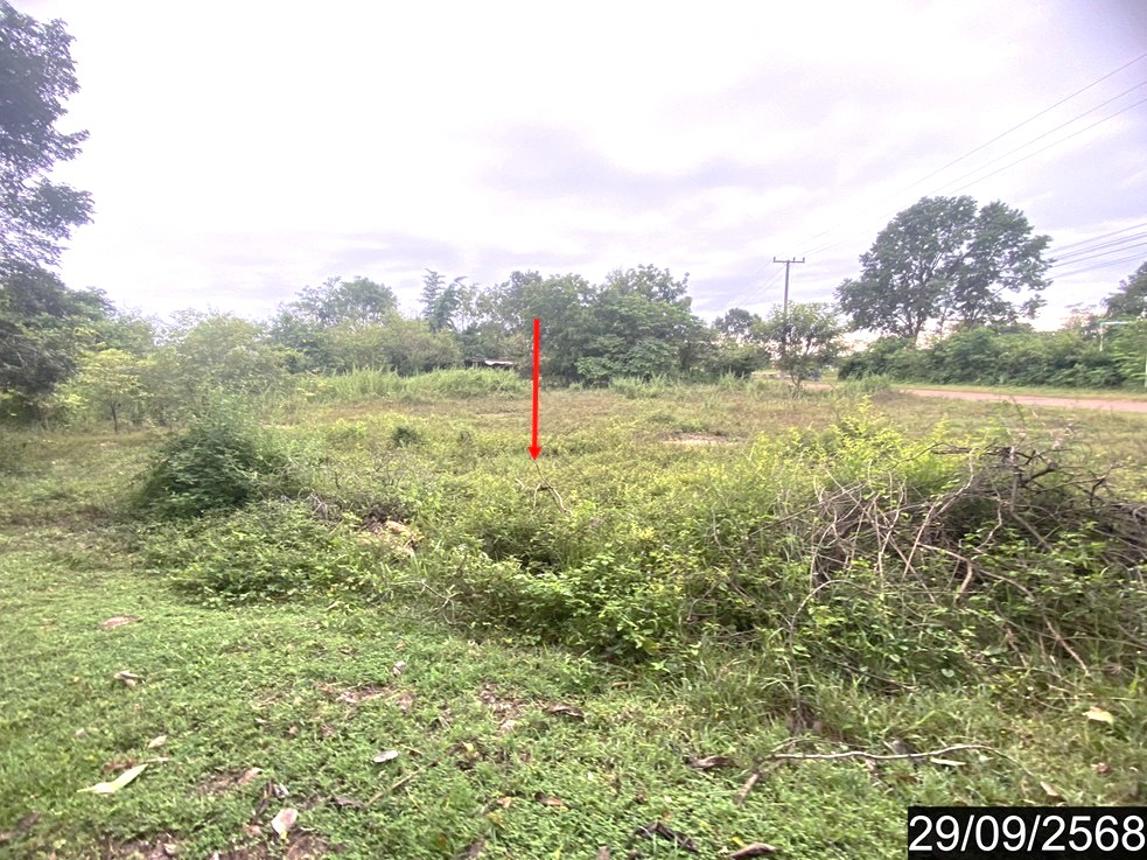 picture HOME 1023 Sq.w. Tha Bo Nongkai for 2.7M - 24/30