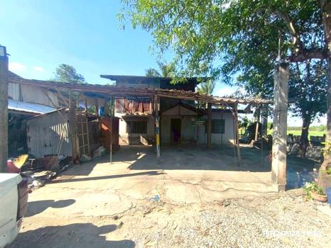 รูป บ้านเดี่ยว 117 ตร.วา หันคา ชัยนาท 461,000 - รูปที่ 27/30