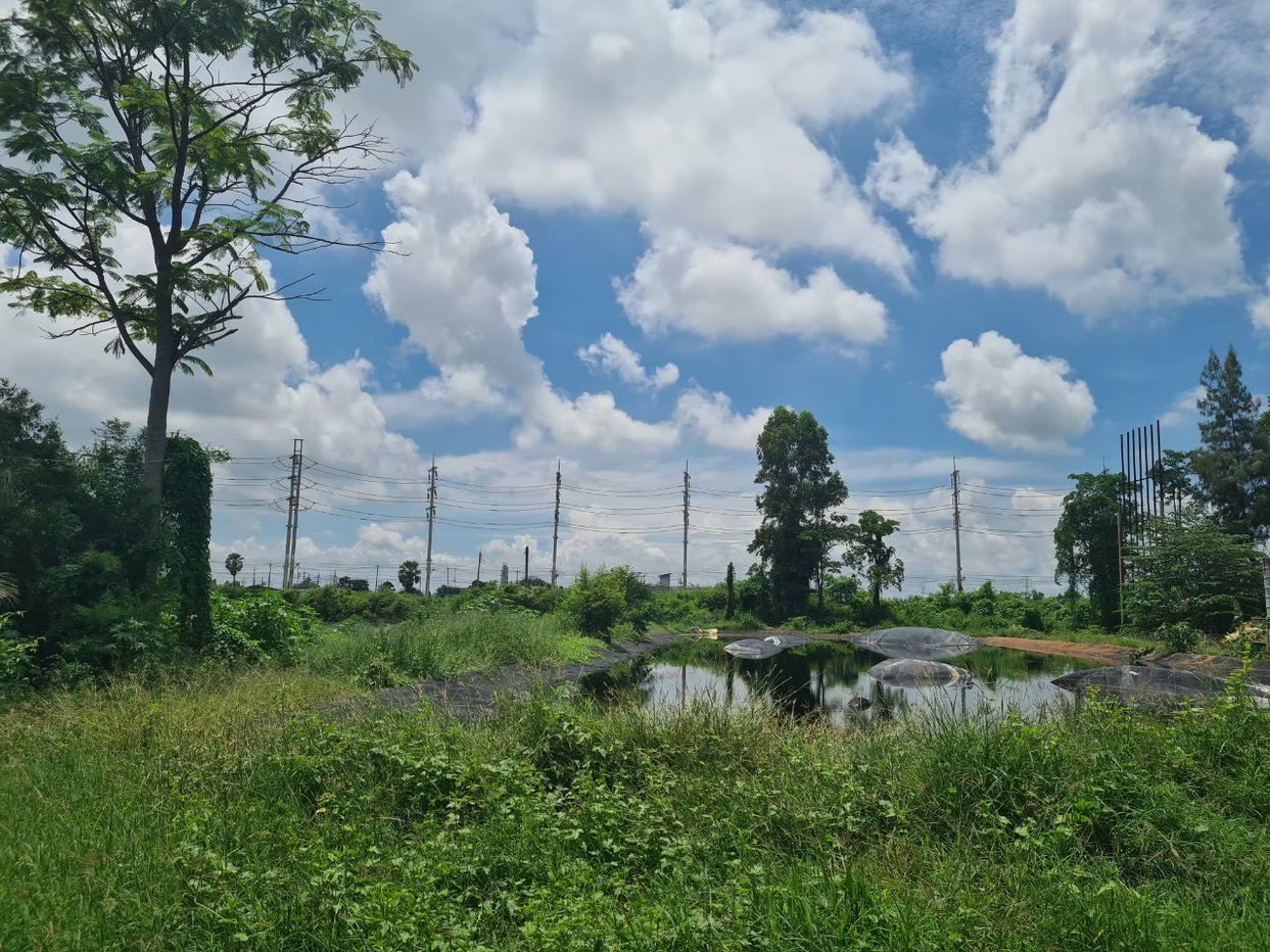 picture LAND 6162.2 Sq.w. Ban Pong Ratchburi for 32.3M - 3/8