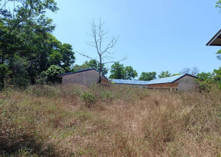 picture LAND 11457.2 Sq.w. Takua Pa Phangnga for 17.7M - 4/4
