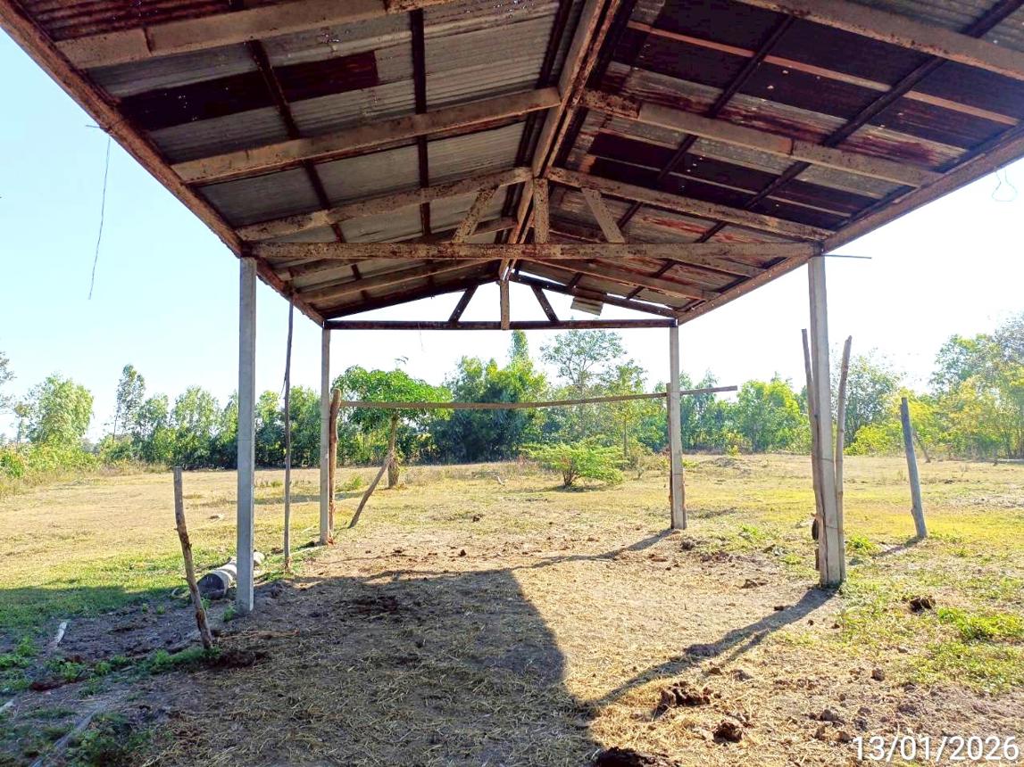 picture FACTORY 1629 Sq.w. Phon Thong Roi Et for 1M - 15/24