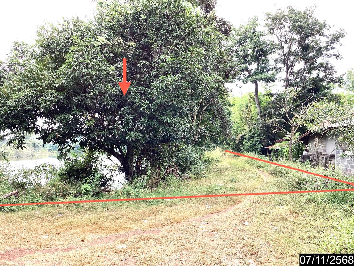 รูป ฟาร์ม 14688 ตร.วา เมืองหนองคาย หนองคาย 3.8M - รูปที่ 20/24