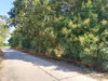 listing thumbnail image 19