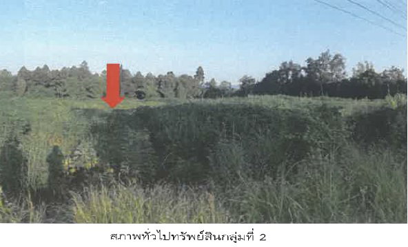 รูป ที่ดินพร้อมสิ่งปลูกสร้าง 33610.5 ตร.วา อำเภอเถิน ลำปาง - รูปที่ 3/5