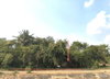listing thumbnail image 21