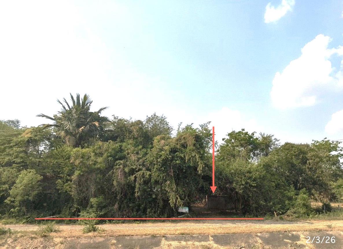picture HOME 782 Sq.w. Muang Surin Surin for 5.7M - 22/26