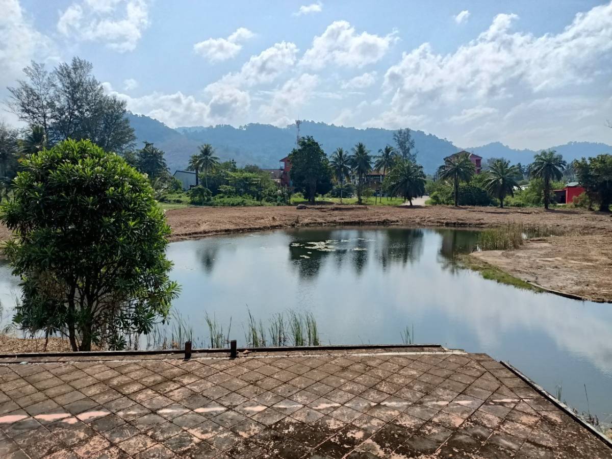 picture LAND 9641.8 Sq.w. Takua Pa Phangnga for 76.2M - 2/5