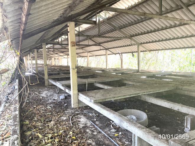 picture LAND 12644 Sq.w. Ko Chan Chonburi for 14.6M - 19/44