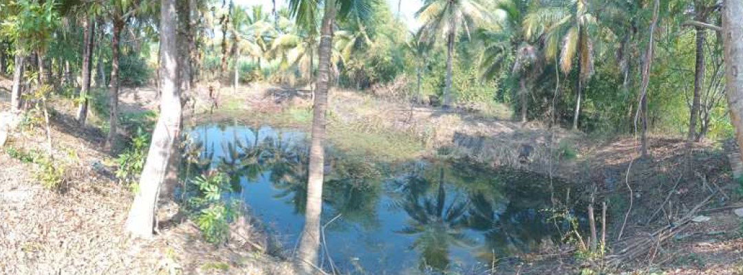 picture LAND 847 Sq.w. Nam Som Udon Thani for 1.8M - 4/6