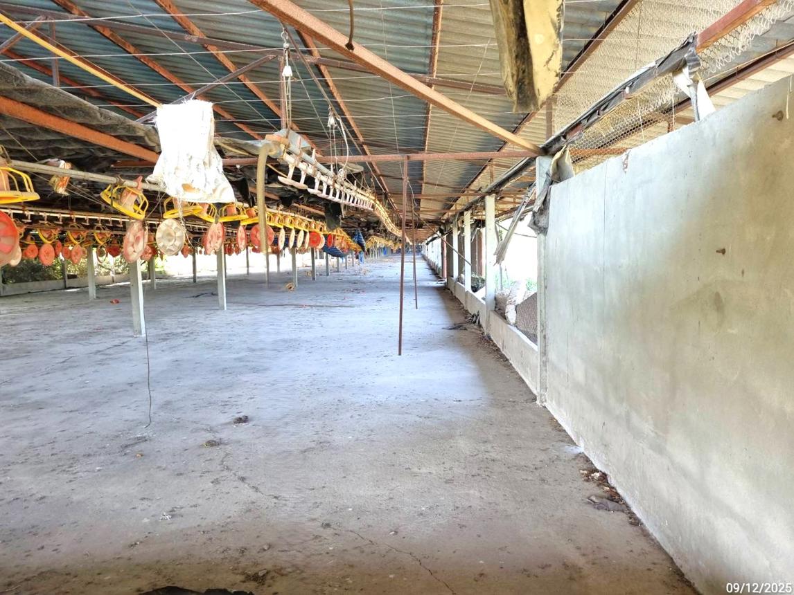 รูป ฟาร์ม 2626 ตร.วา ห้วยกระเจา กาญจนบุรี 4.7M - รูปที่ 21/40