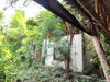listing thumbnail image 49