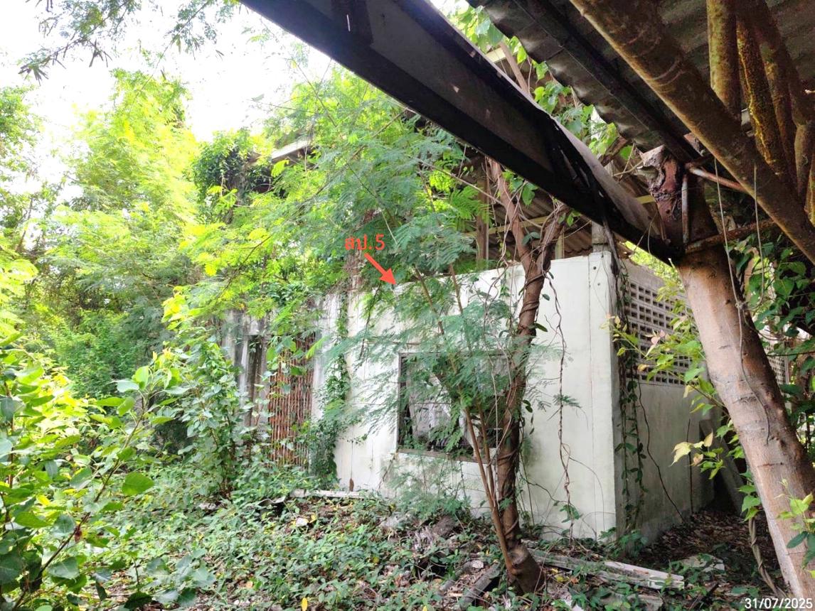 รูป โรงสี 5660 ตร.วา ดอนเจดีย์ สุพรรณบุรี 25.6M - รูปที่ 50/58