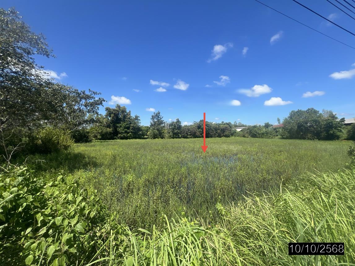 picture FACTORY 2400 Sq.w. Khuang Nai Ubon Ratchathani for 3.2M - 38/44